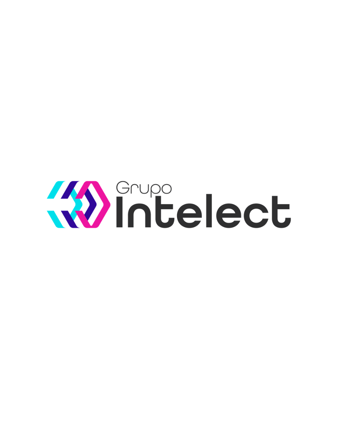Grupo Intelect